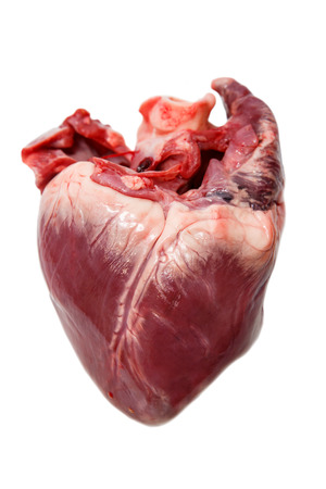 Raw pork heart isolated on a white backgroundの写真素材
