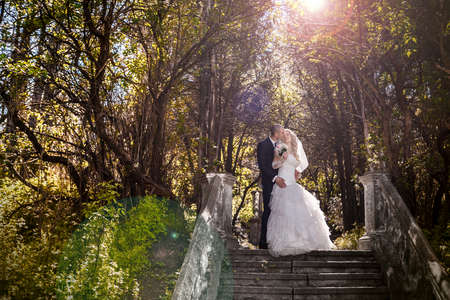 happy bride and groom on ladder at wedding walk  sweet kissの写真素材