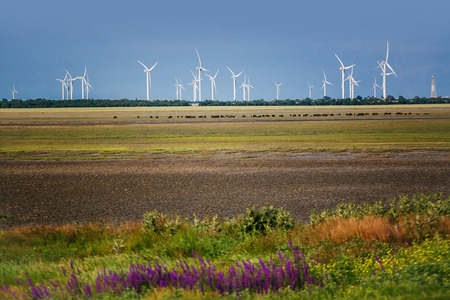 Eco power, wind turbinesの写真素材