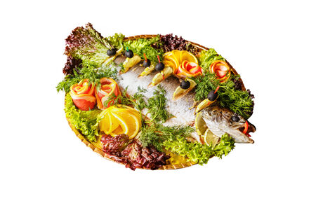 stuffed pike isolated on a white backgroundの写真素材