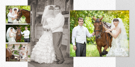 groom and the bride during walk in their wedding day against a horseの写真素材