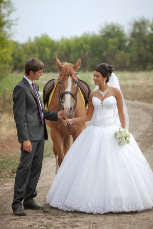groom and the bride during walk in their wedding day against a brown horseの写真素材