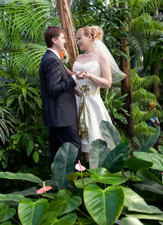 Beautiful just married couple walking on path at junglesの写真素材