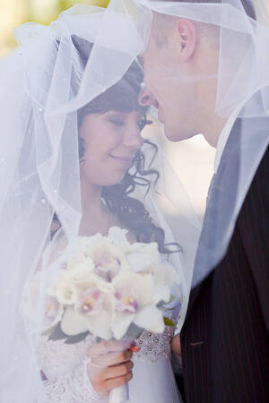 bride and groom under the veilの写真素材