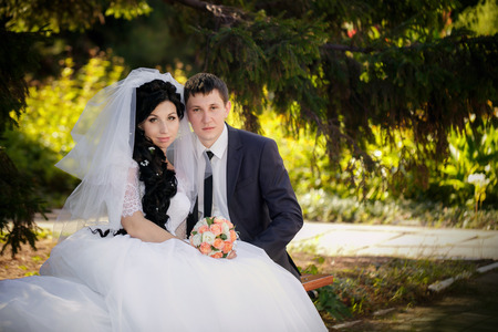 groom and the bride sit on a benchの写真素材