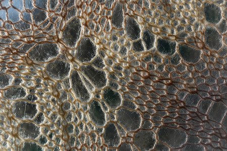 Knitting background texture light colorの写真素材