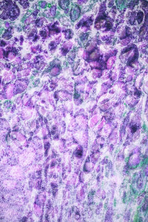 Grunge colorful backgroundの写真素材