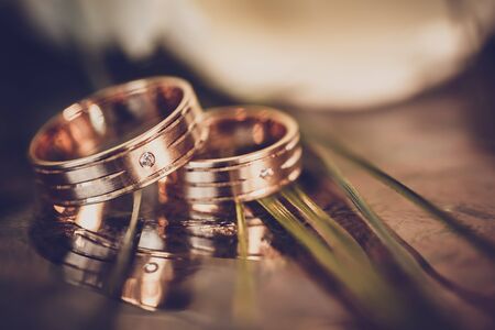 wedding concept - wedding rings and white tulipsの写真素材