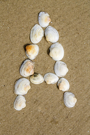 Letter of alphabet makes from seashells on the sand backgroundの写真素材
