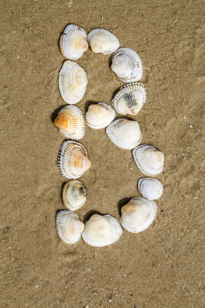 Letter of alphabet makes from seashells on the sand backgroundの写真素材