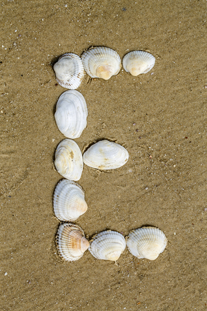 Letter of alphabet makes from seashells on the sand backgroundの写真素材