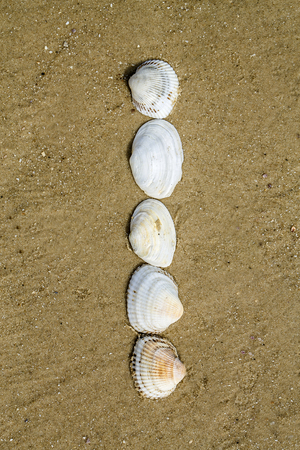 Letter of alphabet makes from seashells on the sand backgroundの写真素材