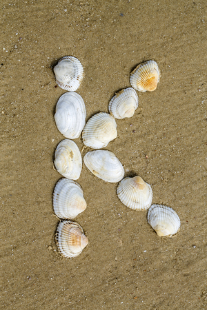 Letter of alphabet makes from seashells on the sand backgroundの写真素材