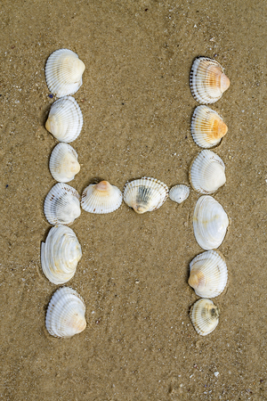 Letter of alphabet makes from seashells on the sand backgroundの写真素材