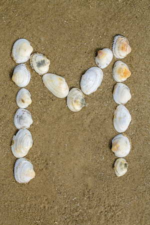 Letter of alphabet makes from seashells on the sand backgroundの写真素材