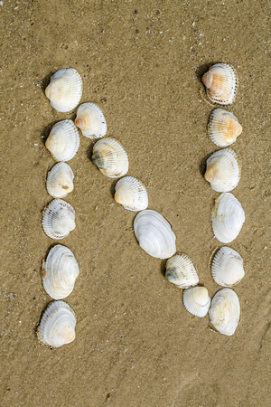 Letter of alphabet makes from seashells on the sand backgroundの写真素材