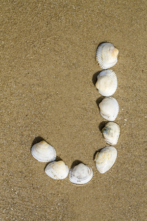 Letter of alphabet makes from seashells on the sand backgroundの写真素材