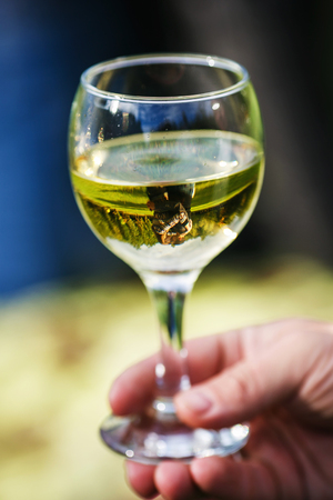 Reflection of kissing lovely couple in wine glassの写真素材