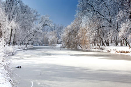 White winter landscape with fresh snow on frozen pond and trees on the lakeside in the city parkの写真素材