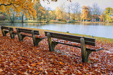 Autumn park bench landscape.Bench in autumn park near pond in the  LÃ¼beck.の写真素材