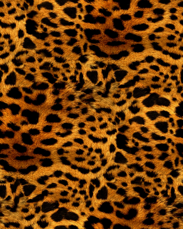 animal print patternの写真素材