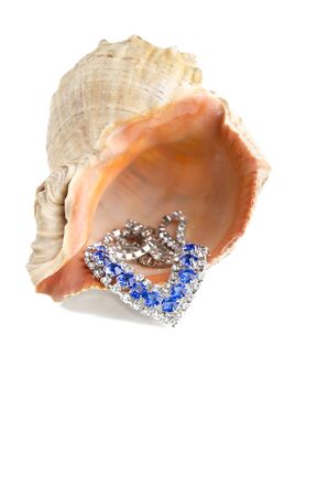 mollusk sink on a white backgroundの写真素材