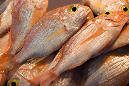 Freshly caught fish at the market for sale