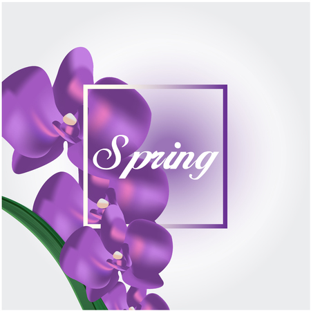 Spring purple orchid white background vector image.のイラスト素材