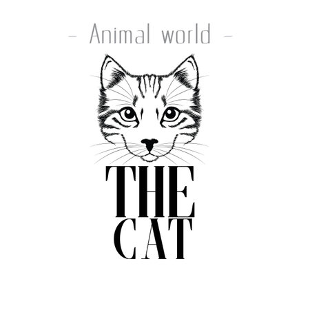 Animal World The Cat Vector Image isolated on white backgroundのイラスト素材