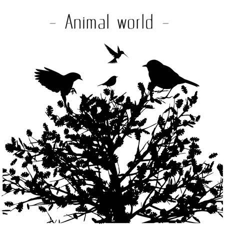 Animal World Birds Tree Background Vector Imageのイラスト素材