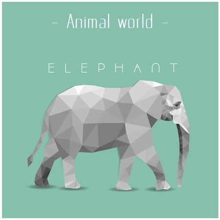Elephant polygon style illustration on green background.のイラスト素材