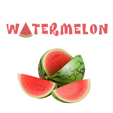 Fruit Watermelon White Background Vector Imageのイラスト素材