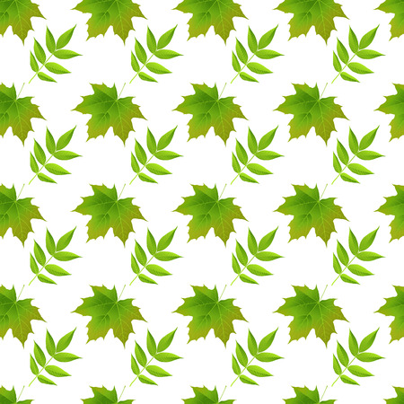 Green Autumn Maple Leaves White Backgroundのイラスト素材