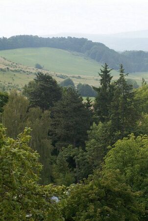 The landscape in summer in Polshaの写真素材