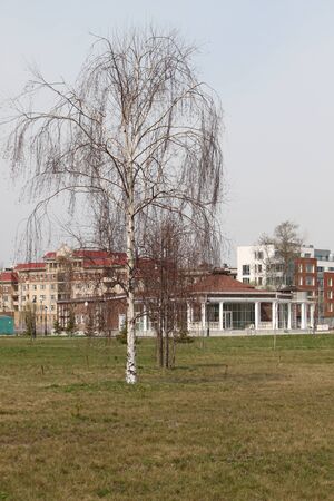 Autumn in park of Yaroslavlの写真素材