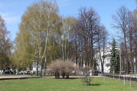 Park in spring in Yarosalvlの写真素材