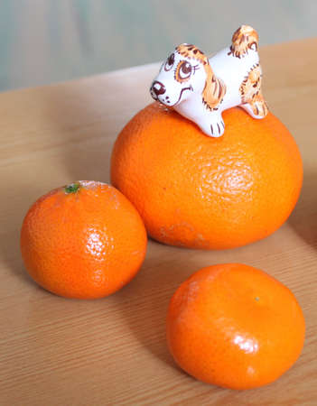 The orange and toyの写真素材