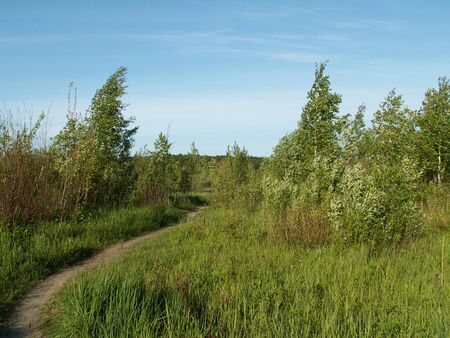 The russian roads in Yaroslavlの写真素材
