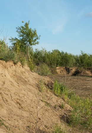 Slope in Russian natureの写真素材
