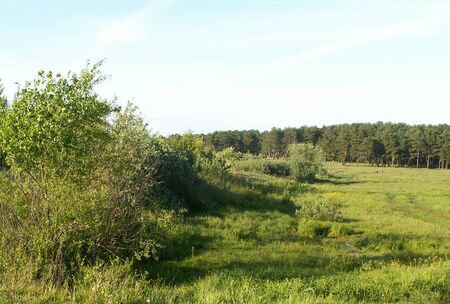 The Russian field in Yaroslavlの写真素材
