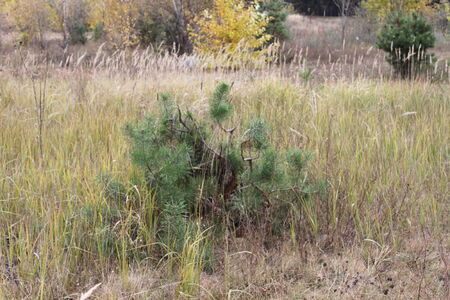 Russia Yaroslavl 2013の写真素材