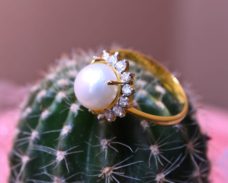 jewelleryの写真素材