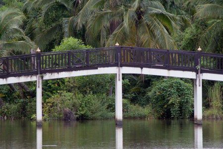 bridge in the parkの写真素材