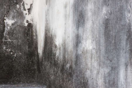 The old concrete wall.の写真素材