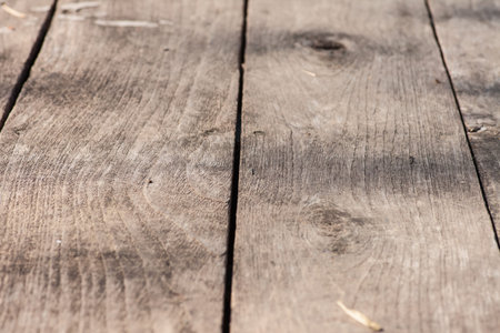 Texture of wood background