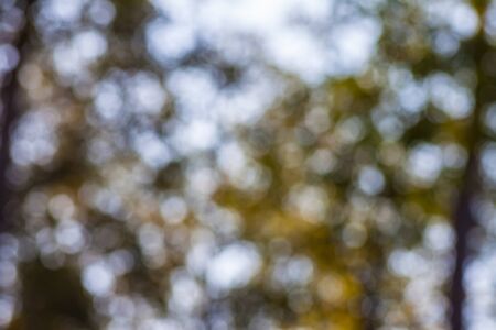 bokeh out of focus backgroundの写真素材