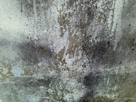 The old concrete wall.