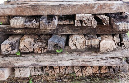 wood backgroundの写真素材