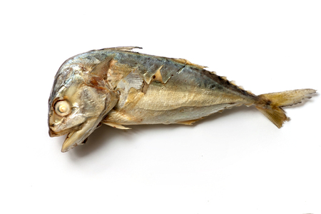 Mackerel fried isolate on whiteの写真素材