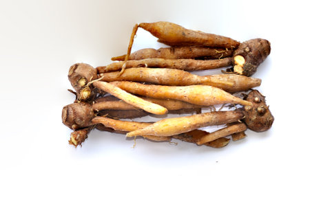finger root Ingredients for Thai Cuisine